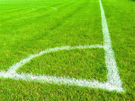 football pitch grass lines